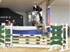 jumper Uptons Magic (Hanoverian, 2017, from Diacontinus)