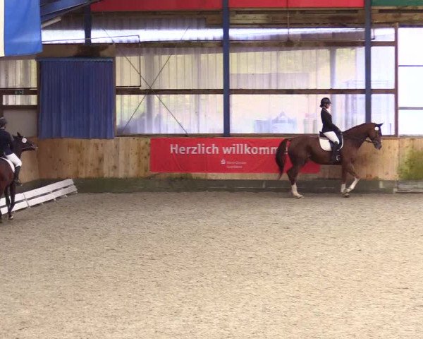 Reitturnier Großenwiehe 2023