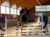 jumper Call me Corni (Hanoverian, 2018, from Cornet's Boy RM)