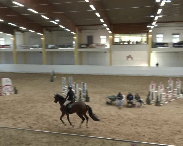 Springturnier Stadl Paura 2023