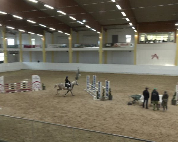 Springturnier Stadl Paura 2023