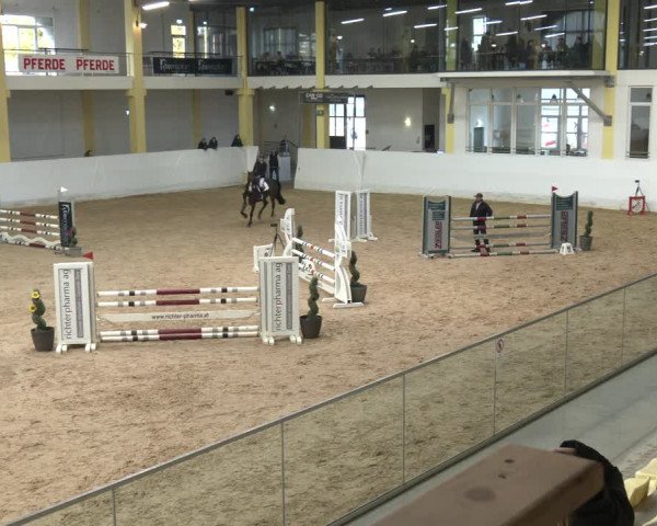 Springturnier Stadl Paura 2023