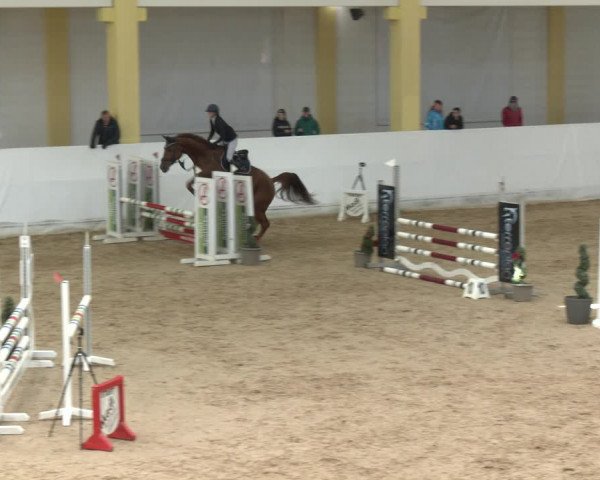 Springturnier Stadl Paura 2023