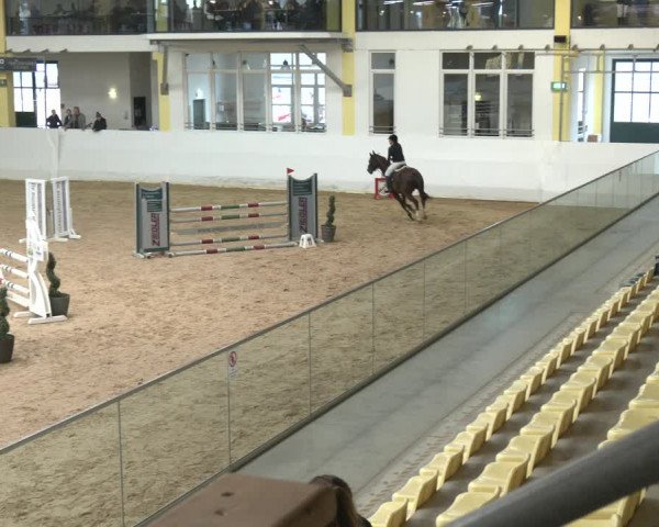 Springturnier Stadl Paura 2023