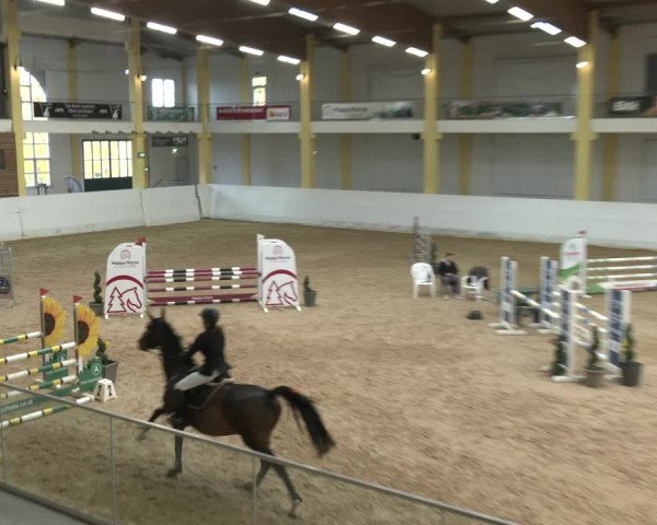 Springturnier Stadl Paura 2023