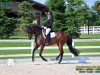 dressage horse Gladiador (Lusitano, 2011, from Solar Pinhais)