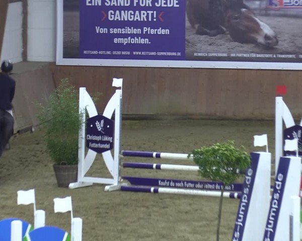 Reitturnier Bad Salzuflen 2023