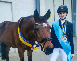 jumper Ole Von Donatus (Trakehner, 2007, from Donauzar)