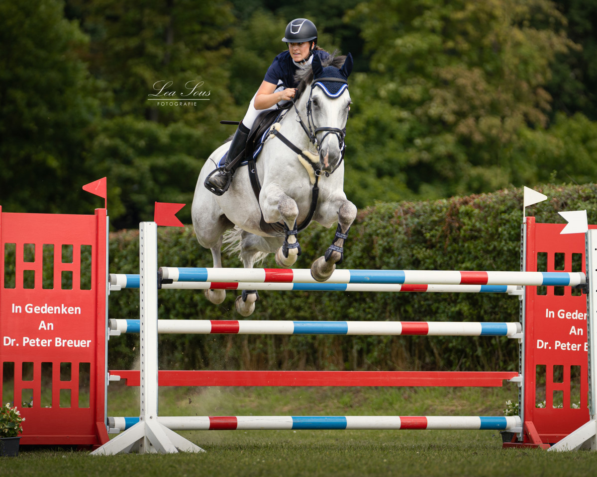 jumper Coros Cascaderos (Rhinelander, 2014, from Corrodano)