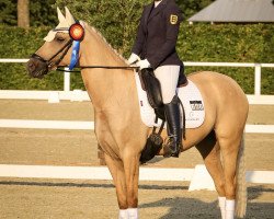 broodmare Die Zaubermaus NRW (German Riding Pony, 2016, from Dating AT NRW)