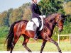 broodmare Lady Lane de Luxe (German Riding Pony, 2008, from Noir de Luxe)