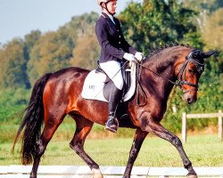 broodmare Lady Lane de Luxe (German Riding Pony, 2008, from Noir de Luxe)