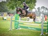 jumper Quick Step 92 (German Riding Pony, 2012, from Quaterback's Junior)