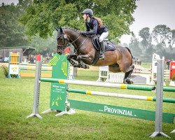 jumper Quick Step 92 (German Riding Pony, 2012, from Quaterback's Junior)