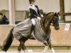 dressage horse Tansania 8 (German Riding Pony, 2015, from Fleedwood WV)