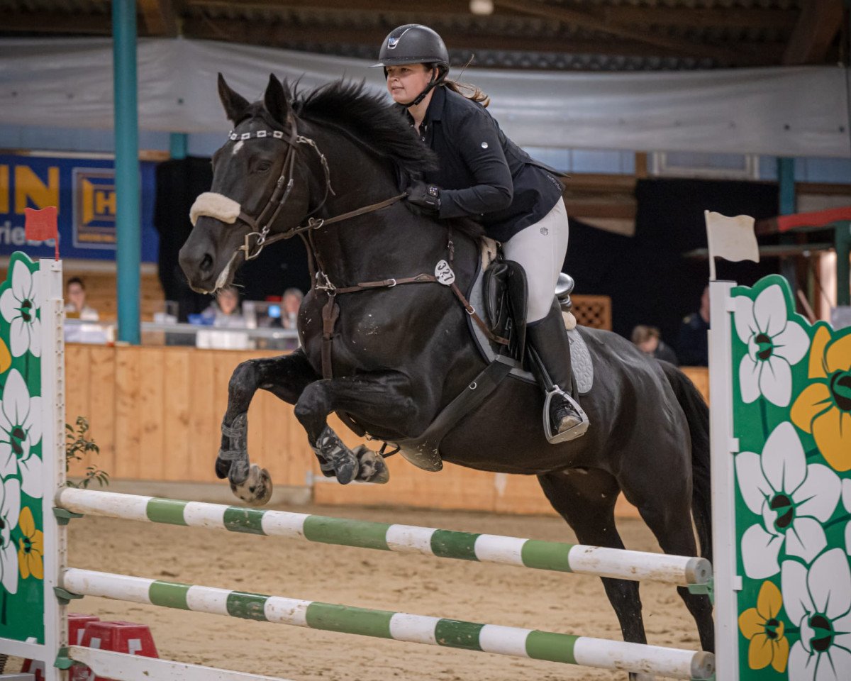 broodmare Donna de Luxe (Hanoverian, 2017, from De Niro)