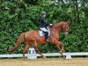 dressage horse Veneziano's Valou (Westphalian, 2017, from Blue Hors Veneziano)