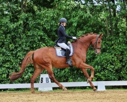 dressage horse Veneziano's Valou (Westphalian, 2017, from Blue Hors Veneziano)