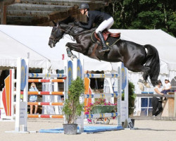 Springpferd Coriana de Lazerou (Selle Français, 2012, von Ugobak Des Baleines)