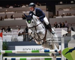 jumper Nikos de Laubry (Belgian Warmblood, 2013, from Castelino van de Helle)