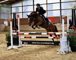 jumper Rob My Heart (German Riding Pony, 2018, from Rob Roy van Het Klavertje)