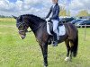 dressage horse Tallulah 4 (German Riding Pony, 2014, from Top Berlin)