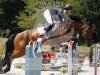 Springpferd Courtwood Dodie (Irish Sport Horse, 2017, von Douglas)