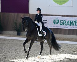 dressage horse Zarafin (Oldenburg, 2012, from Zonik)