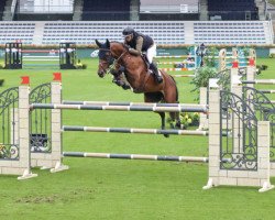 Springpferd Koberlina Tn (KWPN (Niederländisches Warmblut), 2015, von Eldorado vd Zeshoek Tn)