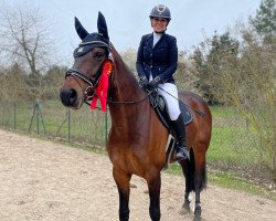 dressage horse Bond Girl R (German Sport Horse, 2011, from Blickpunkt 4)