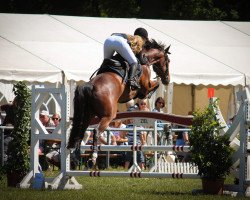 jumper Deichhof's Lucky Lennox (Hanoverian, 2012, from Levistano)