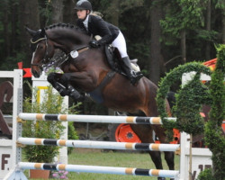 jumper Deichhof's Ghost (Hanoverian, 2012, from Graf Top)