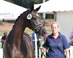 broodmare Weihdira (Oldenburg, 2016, from De Niro)