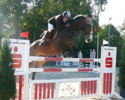 jumper Flying Fortress (Hessisches Warmblut, 2003, from For Keeps)