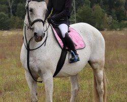 jumper S-Coleen (German Sport Horse, 2006, from Carpalo)