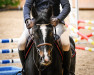 jumper Spencer van de Heihoek (Belgian Warmblood, 2018, from Maestro vd Bisschop)