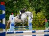 dressage horse Baltimo (Hungarian Warmblood, 2017)