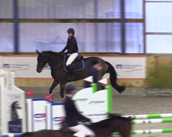 Reitturnier Großenwiehe 2023