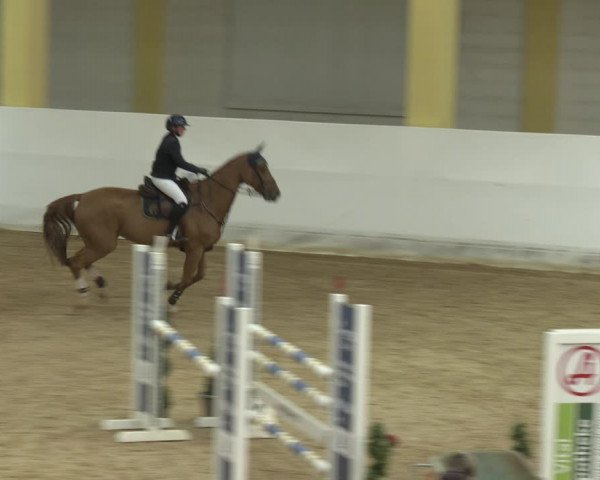 Springturnier Stadl-Paura 2023