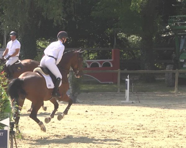 Springturnier Walldorf/Winterheck 2021
