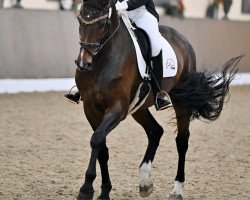 dressage horse Gitti Go (Oldenburg, 2008, from For Compliment)