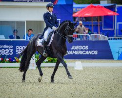 stallion Dostojewski (Hanoverian, 2014, from De Niro)