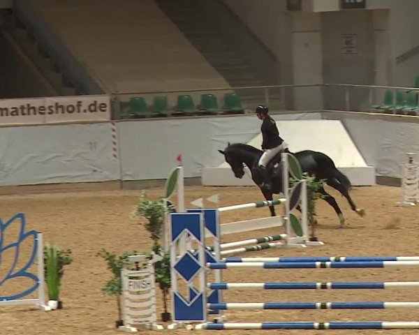 Reitturnier Kreuth 2023