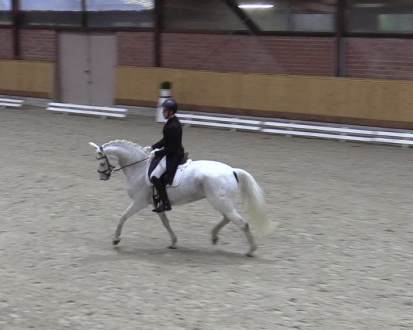 Reitturnier Hamburg-Friedrichshulde/Sylva Kuhrt 2023