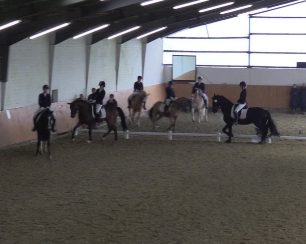 Reitturnier Datteln 2023