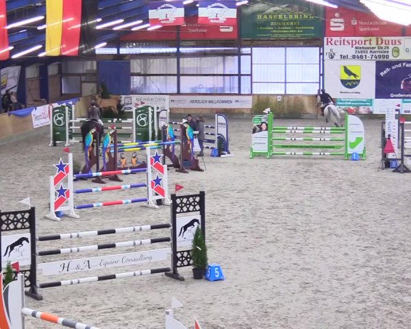 Reitturnier Großenwiehe 2023