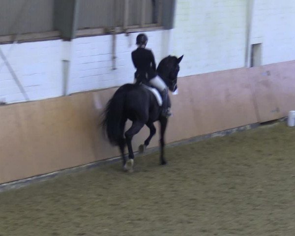 Reitturnier Datteln 2023