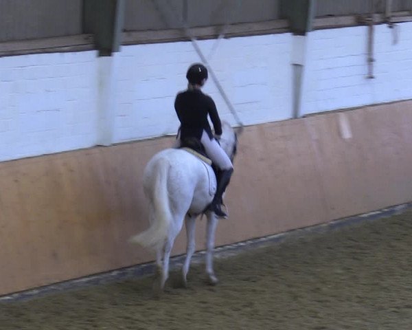 Reitturnier Datteln 2023
