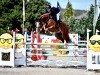 jumper Update van't Roosakker (Oldenburg show jumper, 2018, from Untouchable)