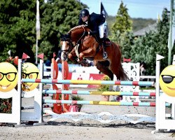 jumper Update van't Roosakker (Oldenburg show jumper, 2018, from Untouchable)